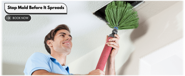 Air Duct Mold Removal in Los Angeles