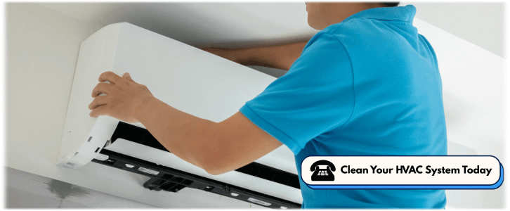HVAC Mold Removal Los Angeles