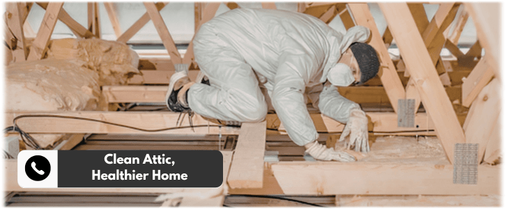 Attic Cleaning Los Angeles